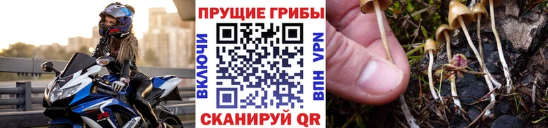 Галлюциногенные грибы MAGIC MUSHROOMS  kraken вход  Азов 